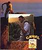camel1.jpg